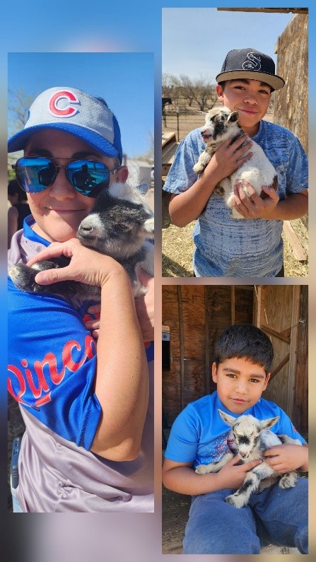 On the right of the photo is Alexandra Bustillos outside, wearing sunglasses, a hat, and holding a baby goat. On the right side are photos of two elementary age children also holding baby goats.