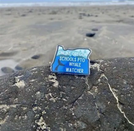 Pin