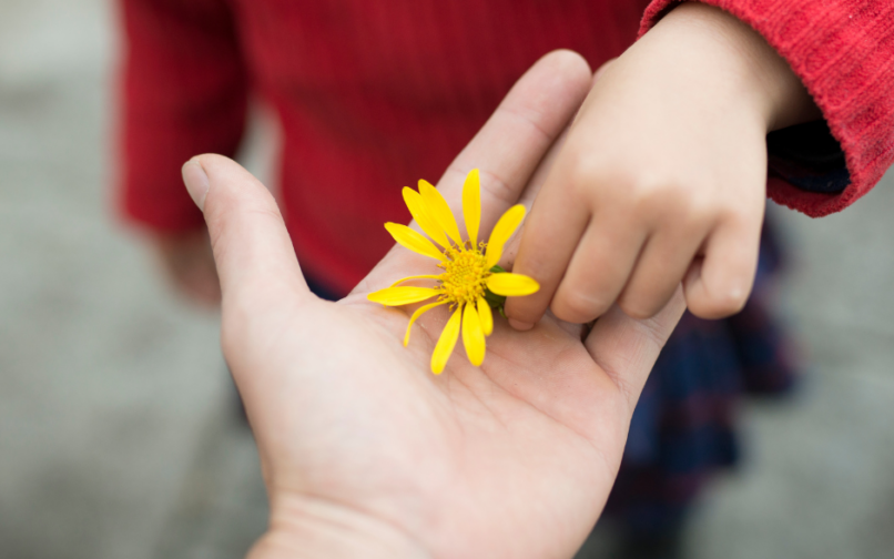 Flower in Hand