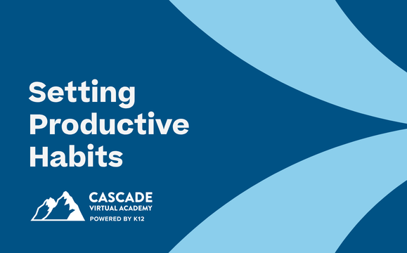 Setting Productive Habits